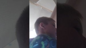 дом из подручных средств