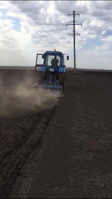 Штригельный  пропольщик чеснока ТМЗ Ресурс.