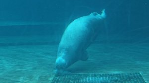 video_20260220_151113