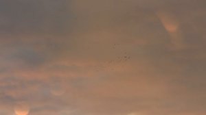 Закат в Сочи