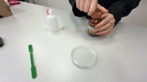 Северное сияние