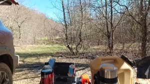 На природе с собакой