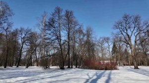 Экшн-камера DJI Osmo Pocket 3 проверка стабилизации