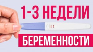 Признаки начала беременности. Что происходит с организмом в первые 3 недели?