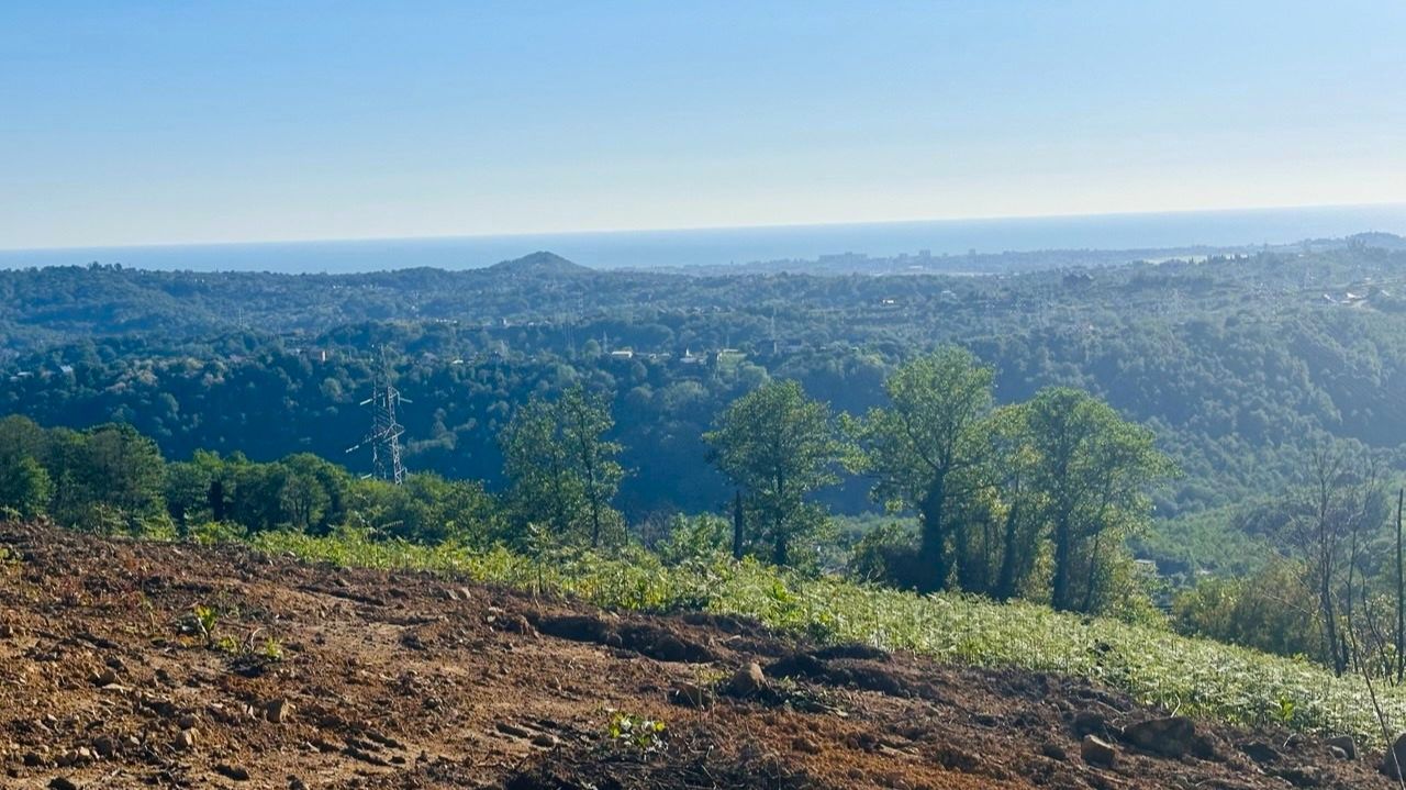Сочи, Нижняя Шиловка, земельный участок 12 соток