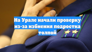 На Урале начали проверку из-за избиения подростка толпой