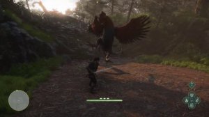 Немного о мире Fable и роли петухов в играх.🐓