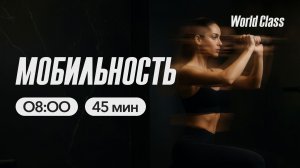 МОБИЛЬНОСТЬ с Альбертом Даниловым | 11 марта 2026 | Онлайн-тренировки World Class