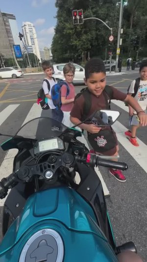 Бабушкин хулиган