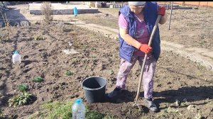 Весенние работы. Убрала клумбу. Жизнь станичная на пенсии.