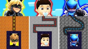 ВЫБЕРИ ПРАВИЛЬНЫЙ ЛАБИРИНТ ПЕРСОНАЖЕЙ СУПЕР КОТА , МЕТАЛ СОНИКА И РАЙДЕРА В МАЙНКРАФТ