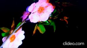 Асылбек Құрманбаев. Нурикамал. #путешествие #круиз #семья #саяхат #демалыс #отдых #отпуск