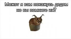 Становимся дедом 23 секунд
#2021