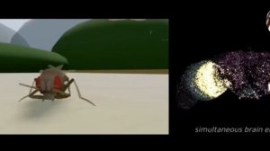 Цифровое бессмертие