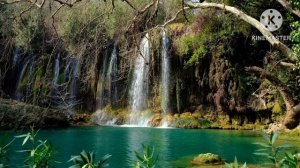 мы родились в Сибири//по сценарию//обзор канала