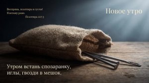 Иглы и гвозди ~ Стихотворение Игнатия Лапкина / 15.08.1983 ~