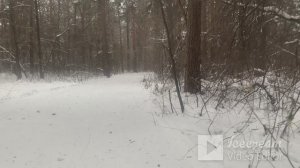 Про жизненный баланс.Откуда берется энергия, куда она утекает.Как создать в жизни дисциплину