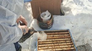 Первый осмотр, после облёта.