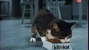 Kitekat - корм для кошек