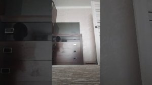 просто трансляция