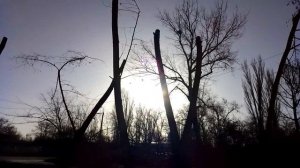 Пришла весна.