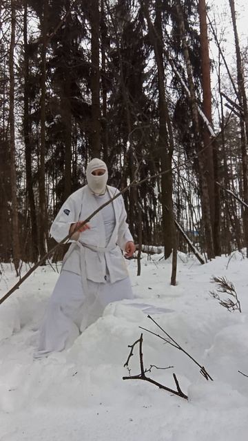 Крайне Северный Ниндзя: Повелитель Снежных Облак (11.3.26) Very Nordic Ninja: Lord of the Snow Cloud