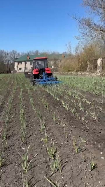 Пропольщик- культиватор для чеснока ТМЗ РЕСУРС.