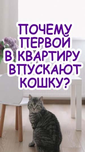 Почему принято в новый дом по традиции первой впускать кошку?