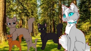 Мое дело дать совет👍