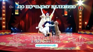 Цирк. По щучьему велению