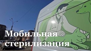 В ЛНР стерилизуют бездомных собак