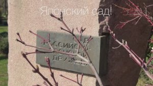 Сочи , японский сад!