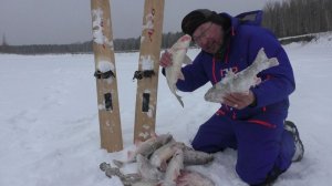 Весенние комбайны на Чулыме раздают лаптей