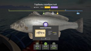 НОВЫЕ РАЗДАЧИ РЕДКИХ ТРОФЕЕВ НА МОРЕ И ЯМЕ, ТОП ФАРМЫ НА КУОРИ И ЛАДОГЕ В РУССКОЙ РЫБАЛКЕ 4 РР4