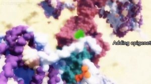 Живая клетка - самый сложный объект во вселенной