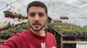 Обзор теплицы в декабре и мысли вслух