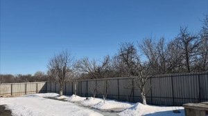 Прекрасная погода ☀️ Всем хорошего дня 🌼