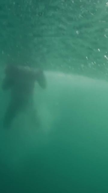 Испытание "7 футов под килем" 4 #выживалити