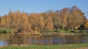 МУЗЫКА ДЛЯ ВНУТРЕННЕГО УМИРОТВОРЕНИЯ