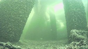 1000011372.mp4Волга гл.2м.11.03.2026г.