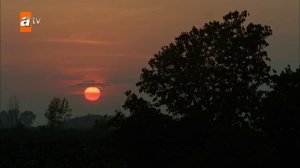 Однажды в Чукурова 41 серия Второй сезон  Турецкий сериал Присоединяйтесь