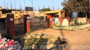 Привет Я Индия/ЗДОРОВЬЕ РЕЗКО УХУДШИЛОСЬ У ТУТТЫ НЕ ЗНАЮ ЧТО ДЕЛАТЬ?