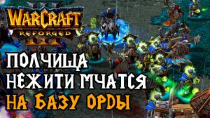 Полчища Нежити мчатся на базу Орды: Cas (Ud) vs OrcBrave (Orc) Warcraft 3 Reforged