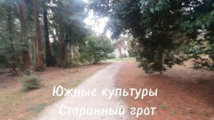 Старинный грот в парке «Южные культуры « Адлер. Сочи.