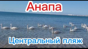 Какие работы ведутся сегодня.