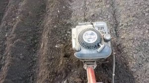 Подготовка огорода к посадке картошки. Работа с маркером.