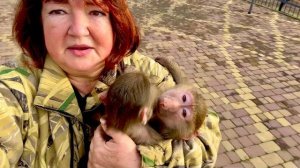 НЕ ПРОСТАЯ ЗАДАЧА! Влада нет и мне нужно  самой как-то перевести Люсю и компанию в уличный вольер!