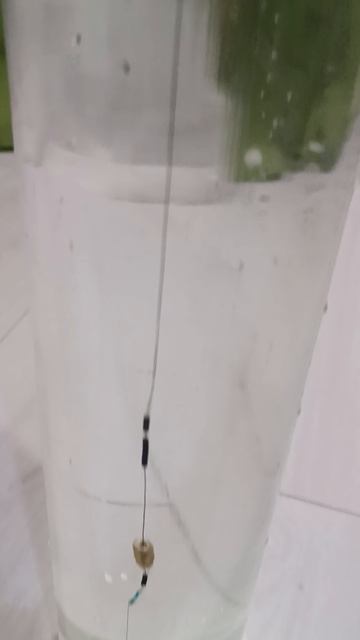 моя корейская оснастка