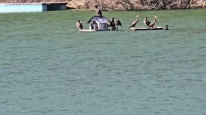 Кипарисовое озеро Сукко 11 марта 2026 глазами Дмитрия Сорвенкова