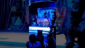 VN20260110_202804.mp4